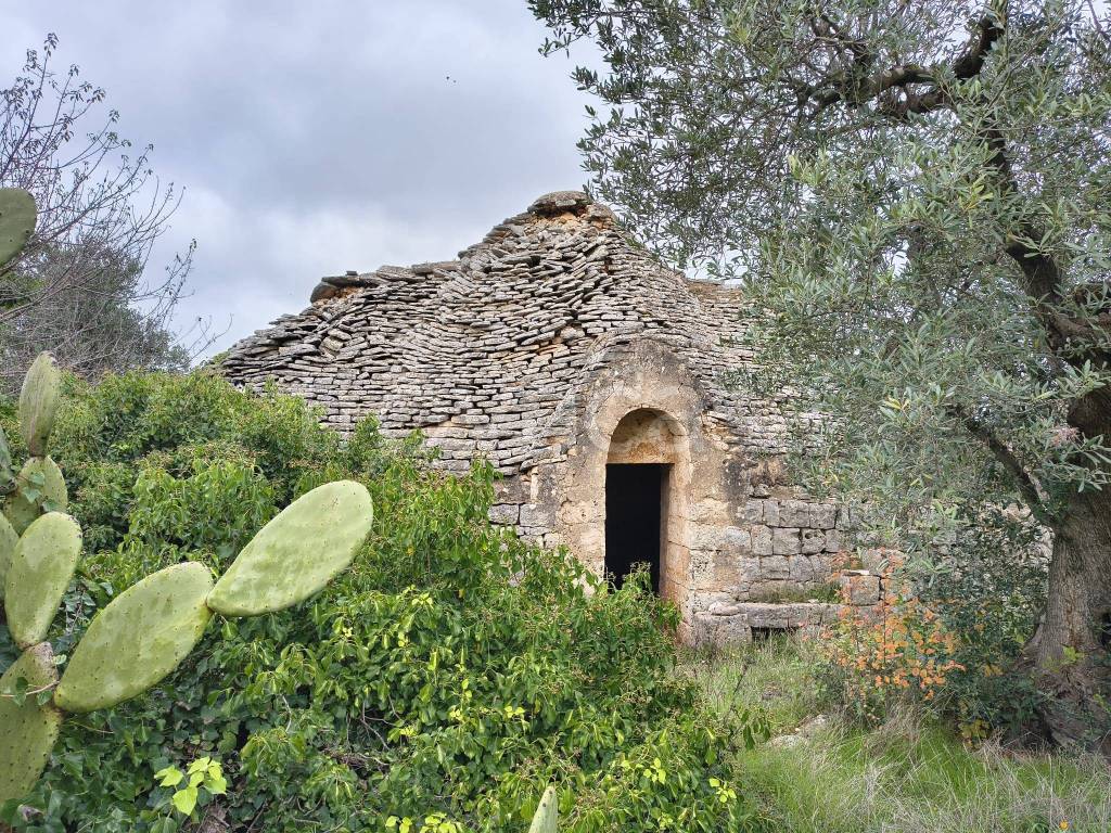 immagine annuncio 8 di 12