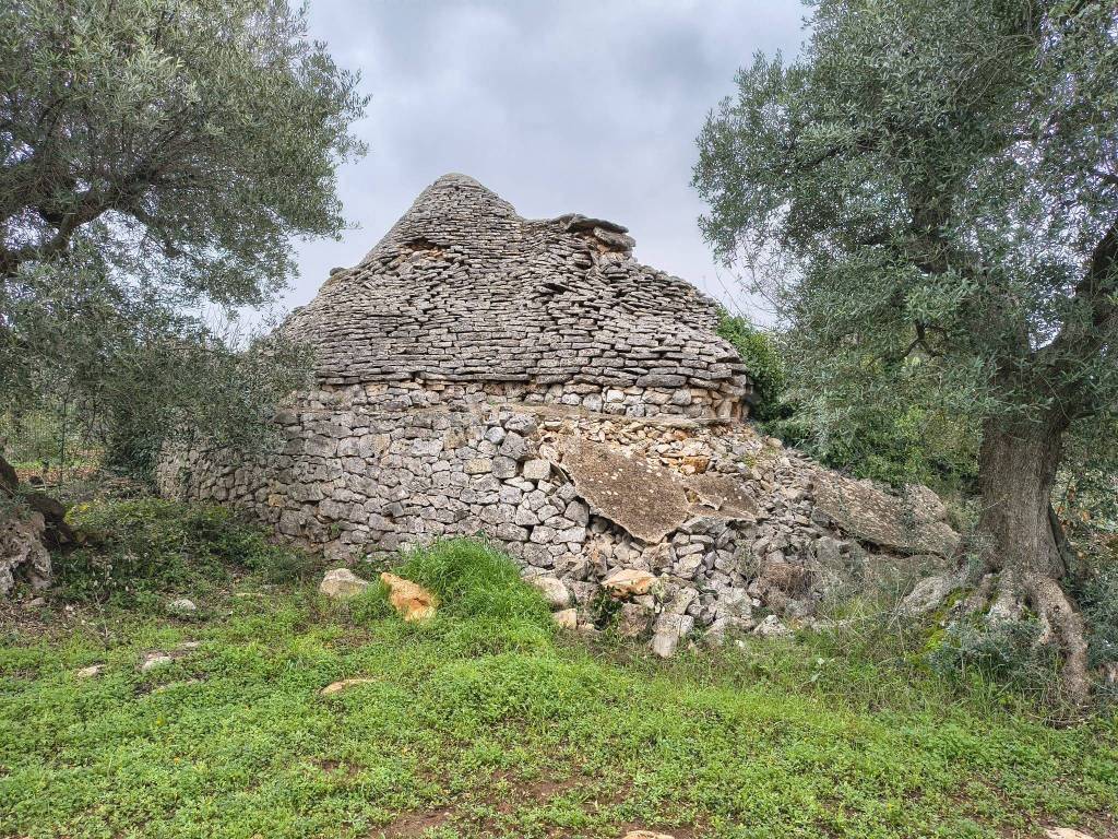 immagine annuncio 4 di 12