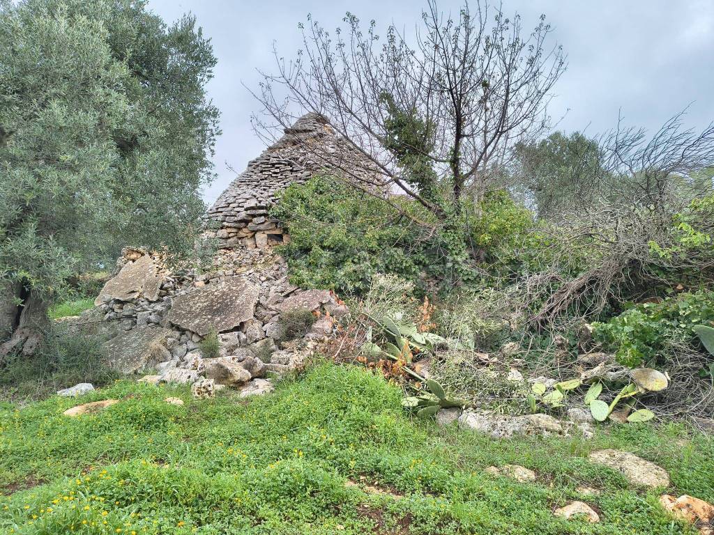 immagine annuncio 10 di 12