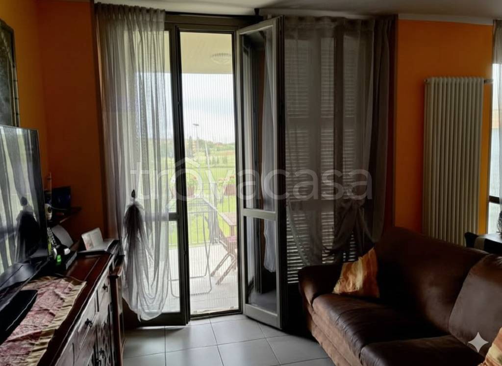 immagine annuncio 9 di 14