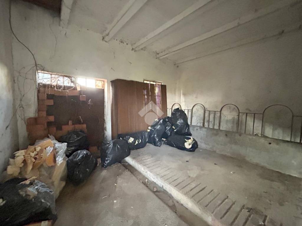 immagine annuncio 8 di 14