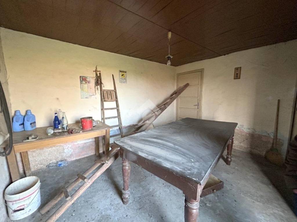 immagine annuncio 9 di 14