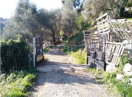 immagine annuncio 8 di 12