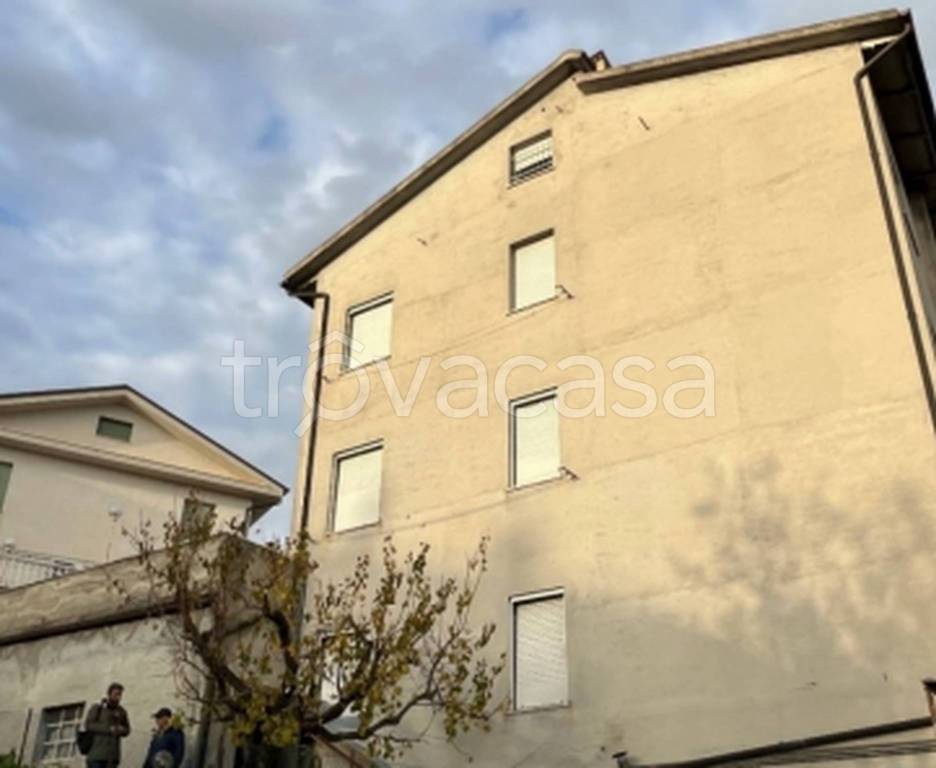 immagine annuncio 5 di 11