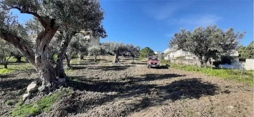 immagine annuncio 3 di 8