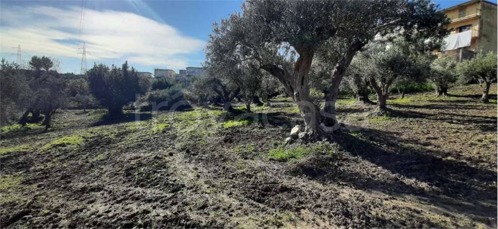 immagine annuncio 4 di 8