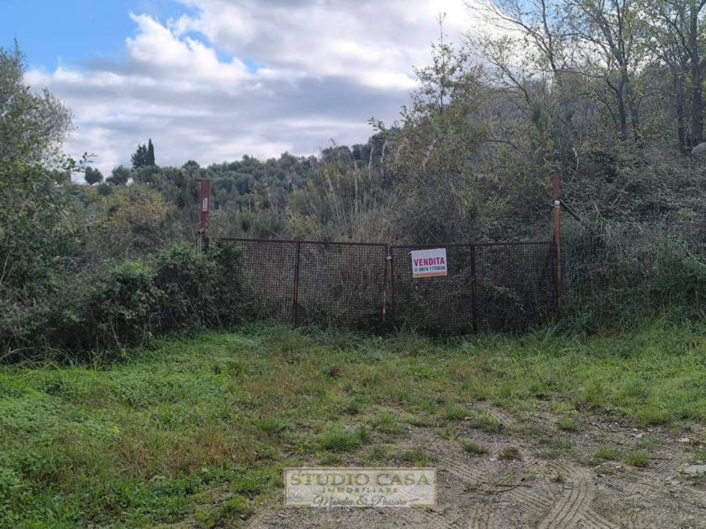 immagine annuncio 2 di 4