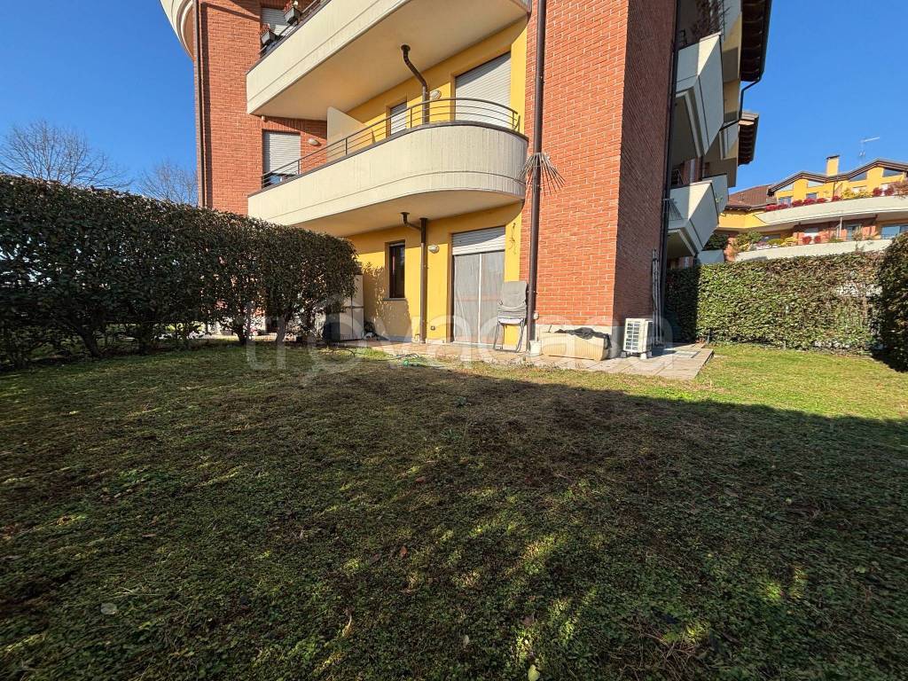 immagine annuncio 12 di 15