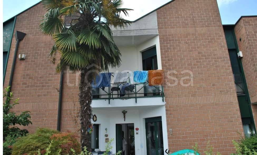 immagine annuncio 2 di 11