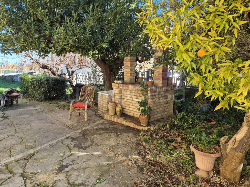 immagine annuncio 3 di 12