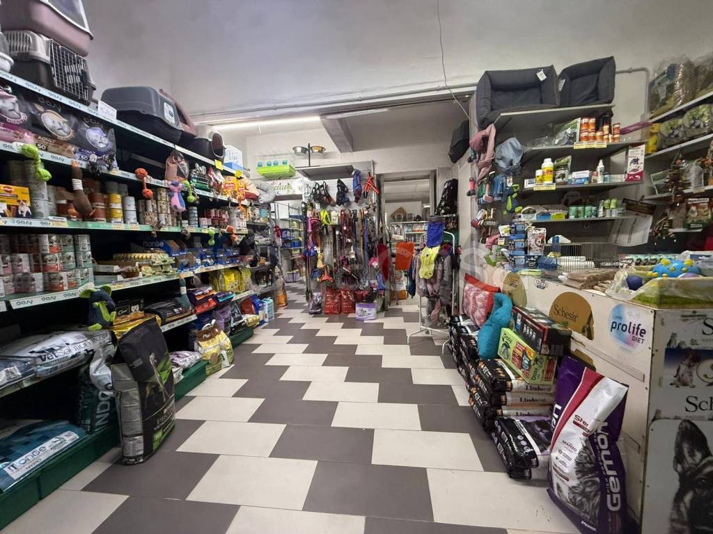 immagine annuncio 2 di 14