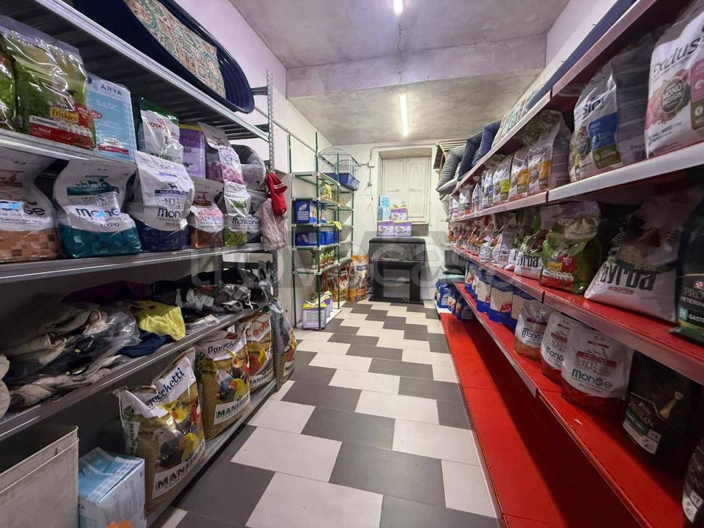 immagine annuncio 3 di 14