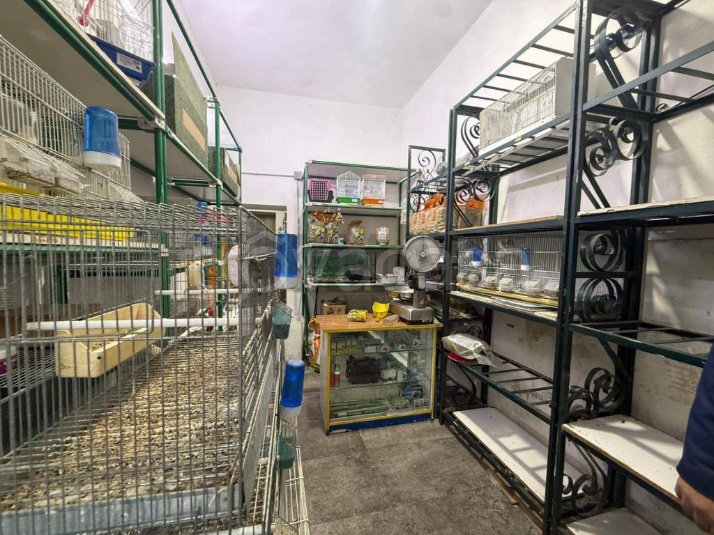 immagine annuncio 4 di 14