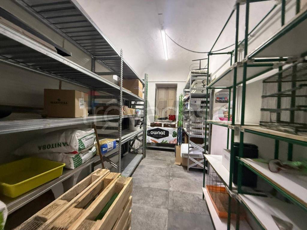 immagine annuncio 5 di 14