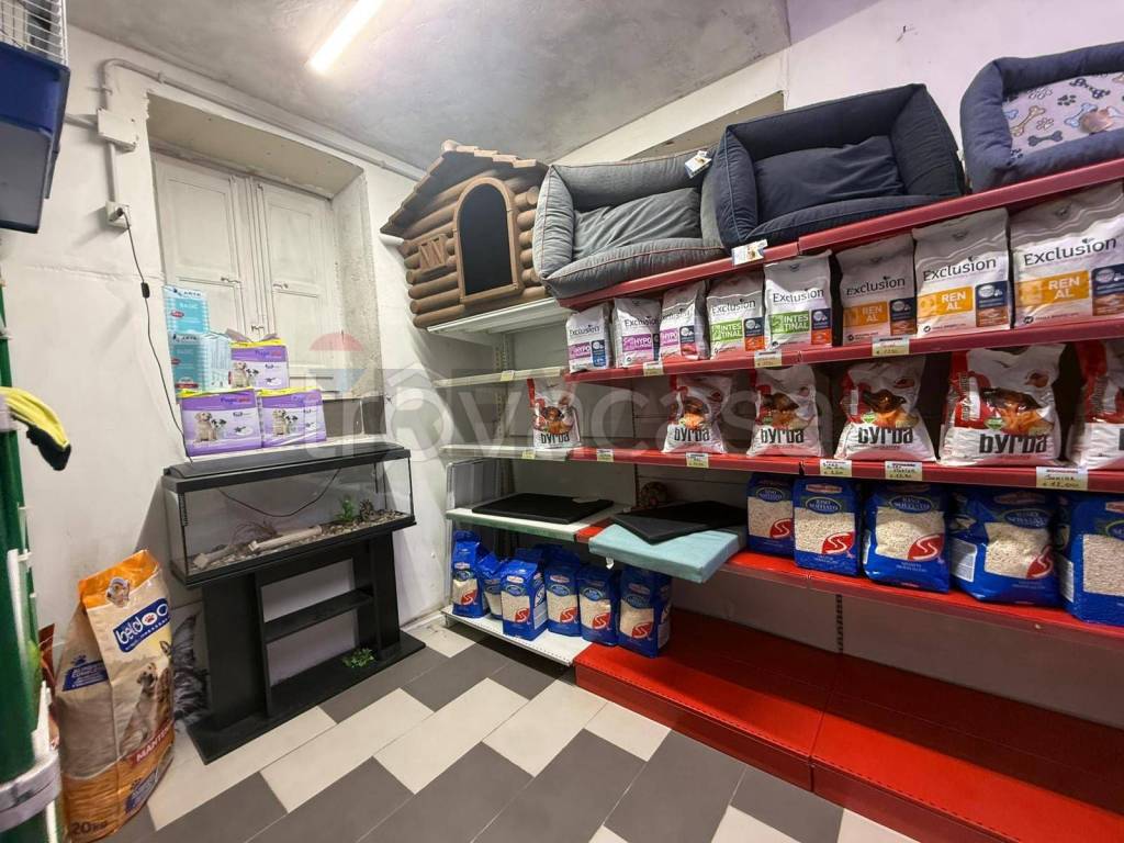 immagine annuncio 6 di 14