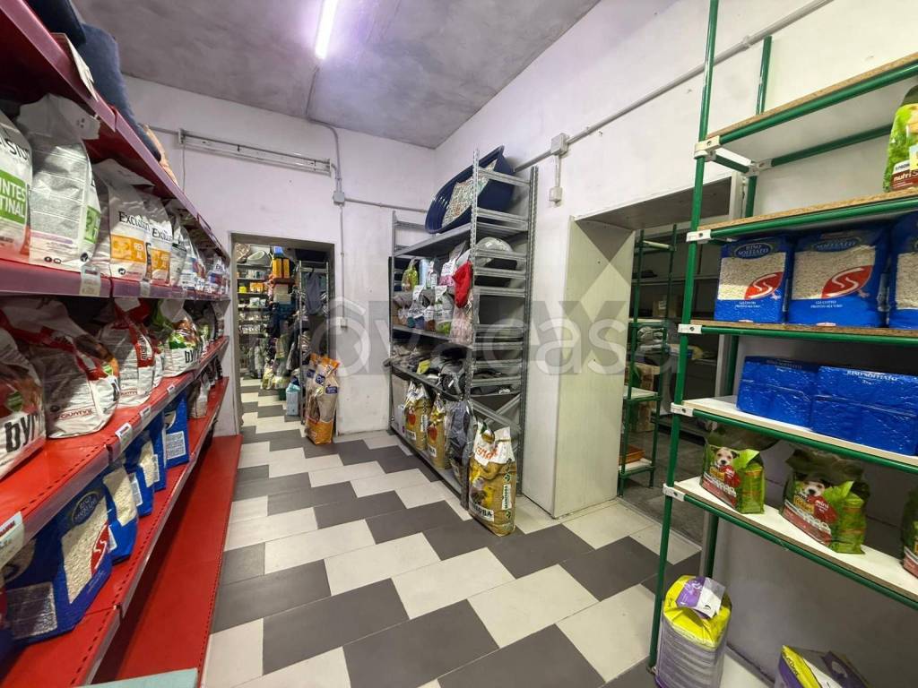 immagine annuncio 9 di 14