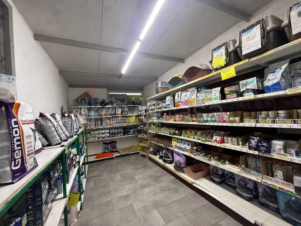 immagine annuncio 11 di 14