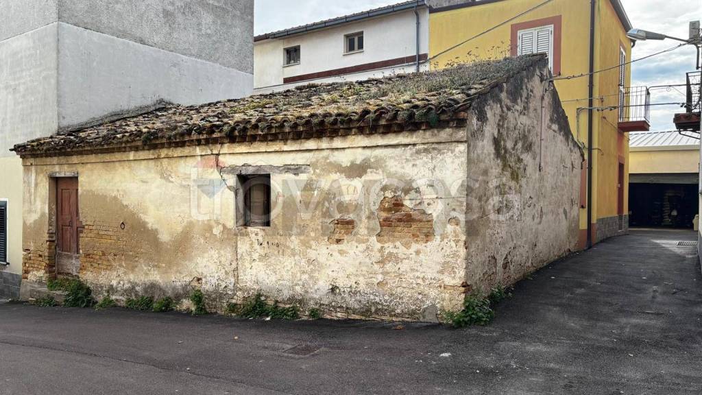 immagine annuncio 8 di 11