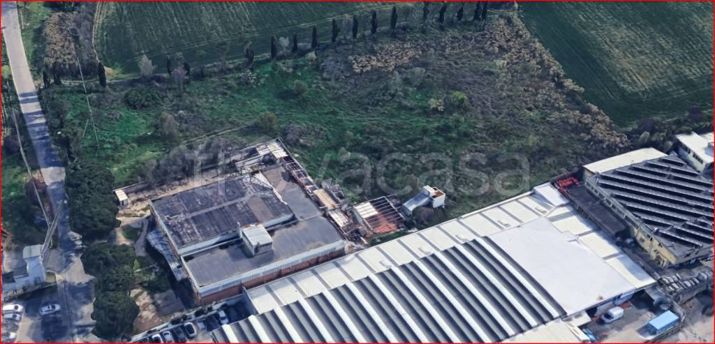 immagine annuncio 2 di 6