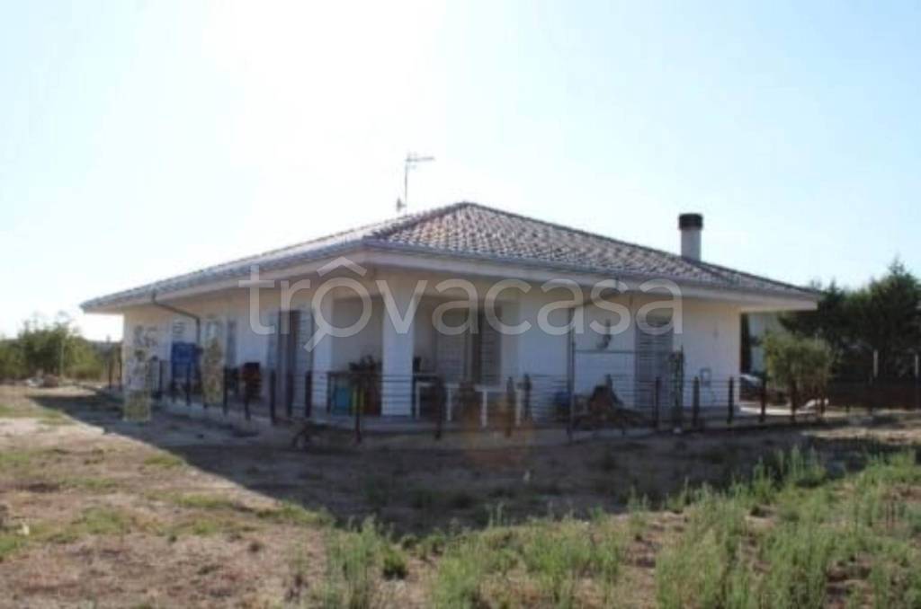 immagine annuncio 4 di 12