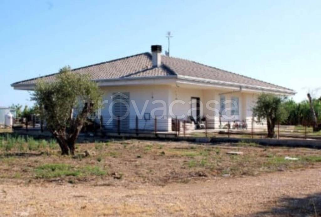 immagine annuncio 8 di 12