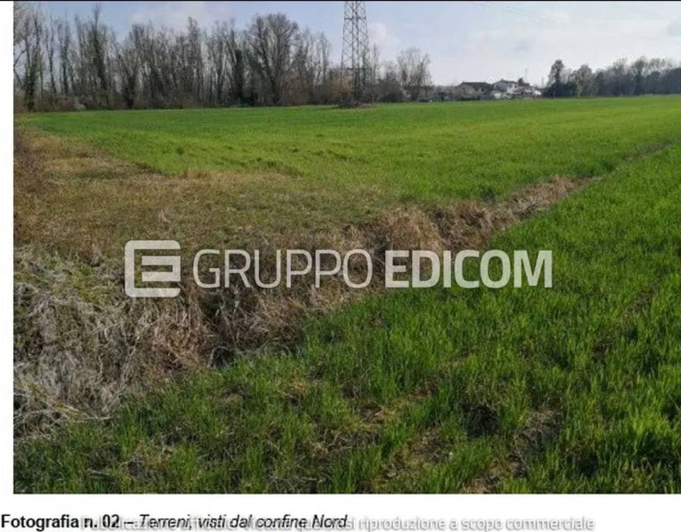 immagine annuncio 1 di 6