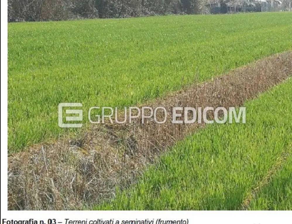 immagine annuncio 2 di 6