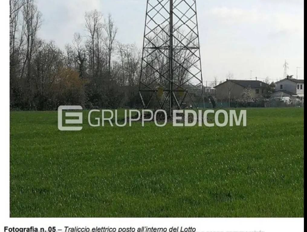 immagine annuncio 4 di 6