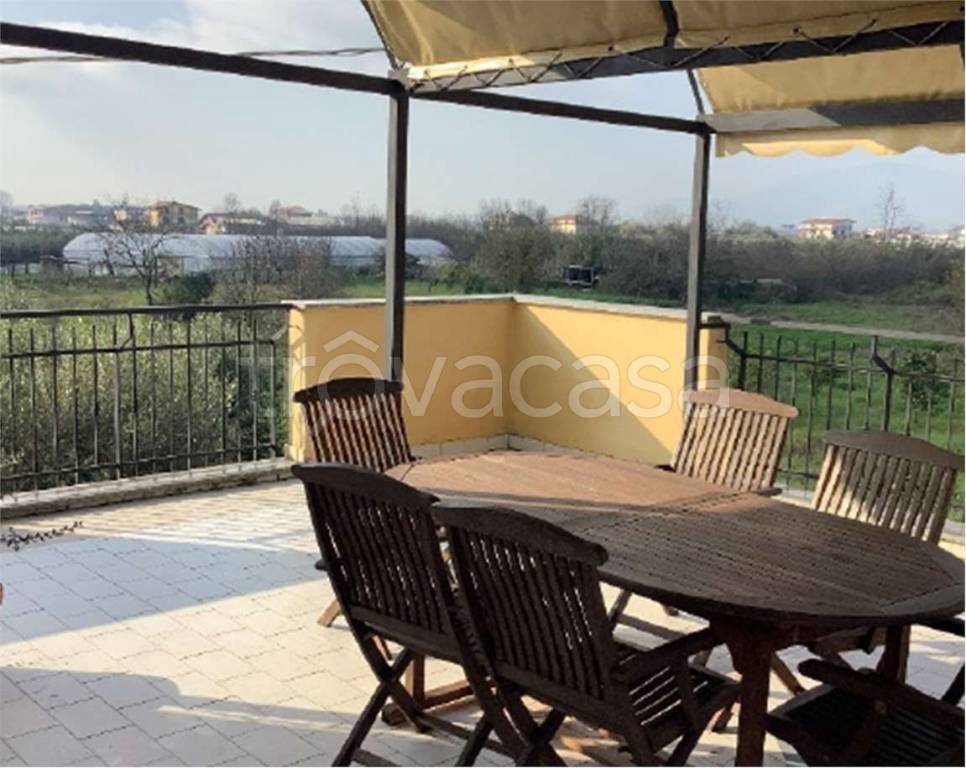 immagine annuncio 4 di 6