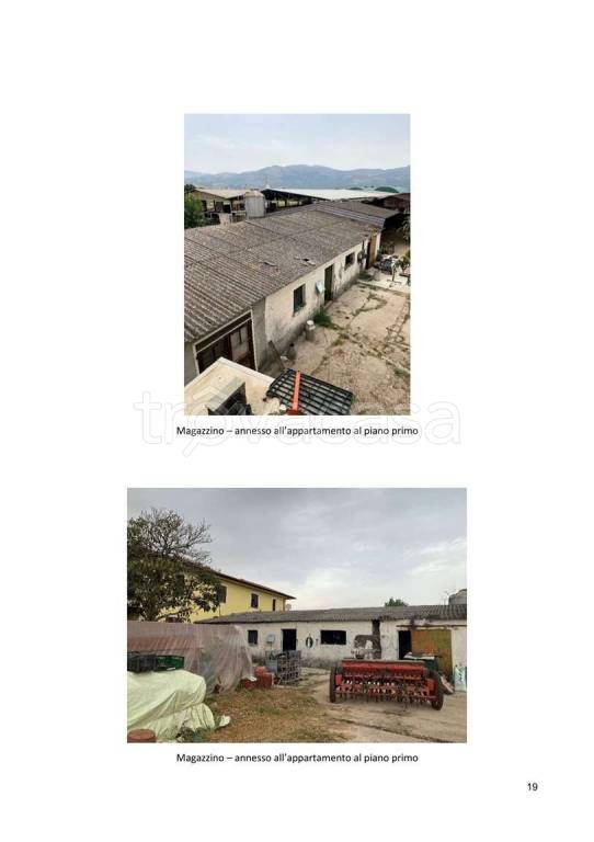 immagine annuncio 8 di 11