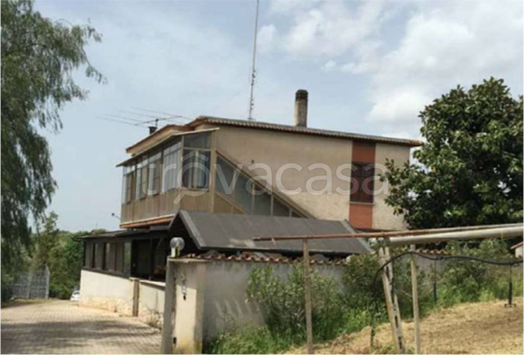 immagine annuncio 2 di 8