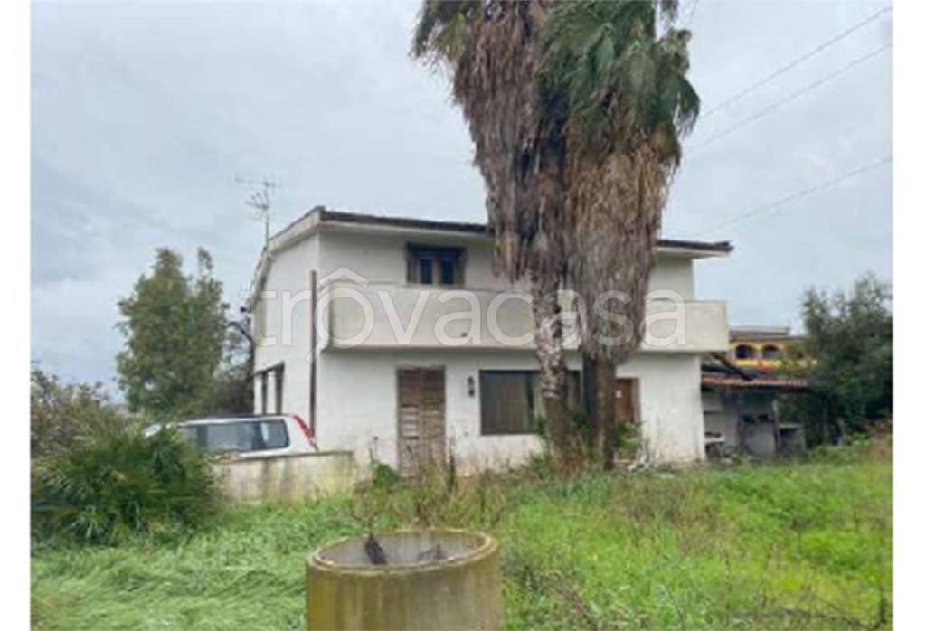 immagine annuncio 2 di 7