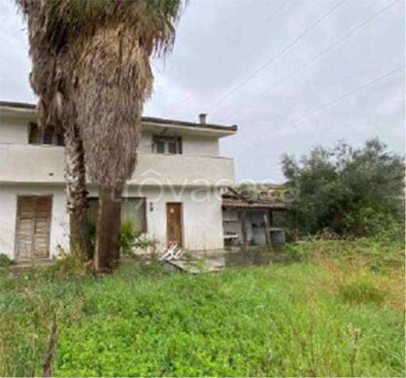 immagine annuncio 5 di 7