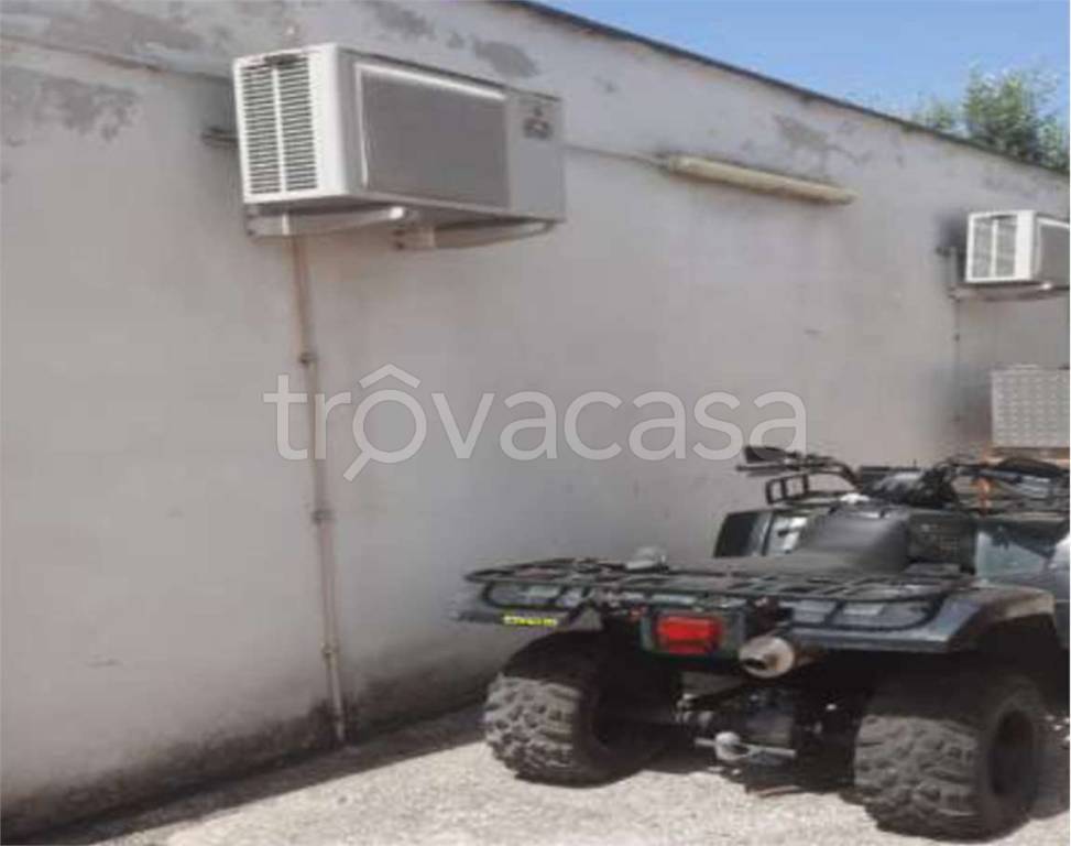 immagine annuncio 5 di 6