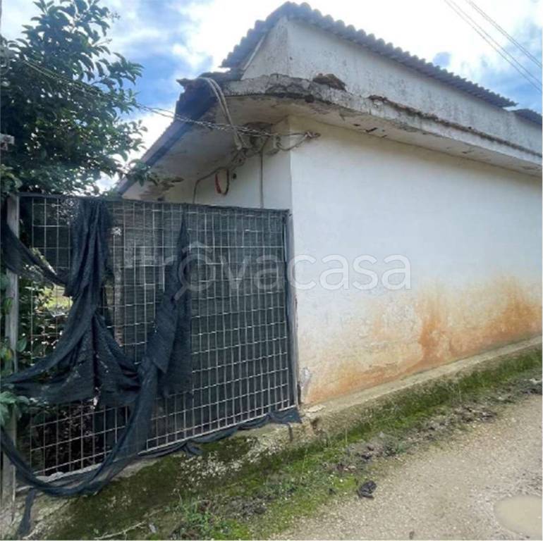 immagine annuncio 2 di 6