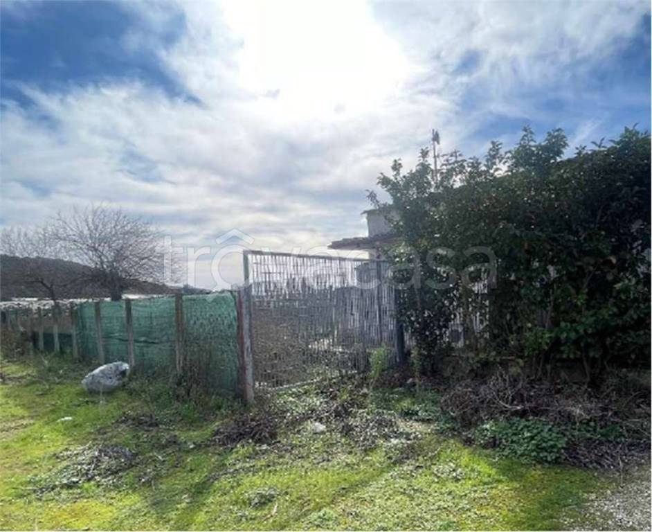 immagine annuncio 3 di 6