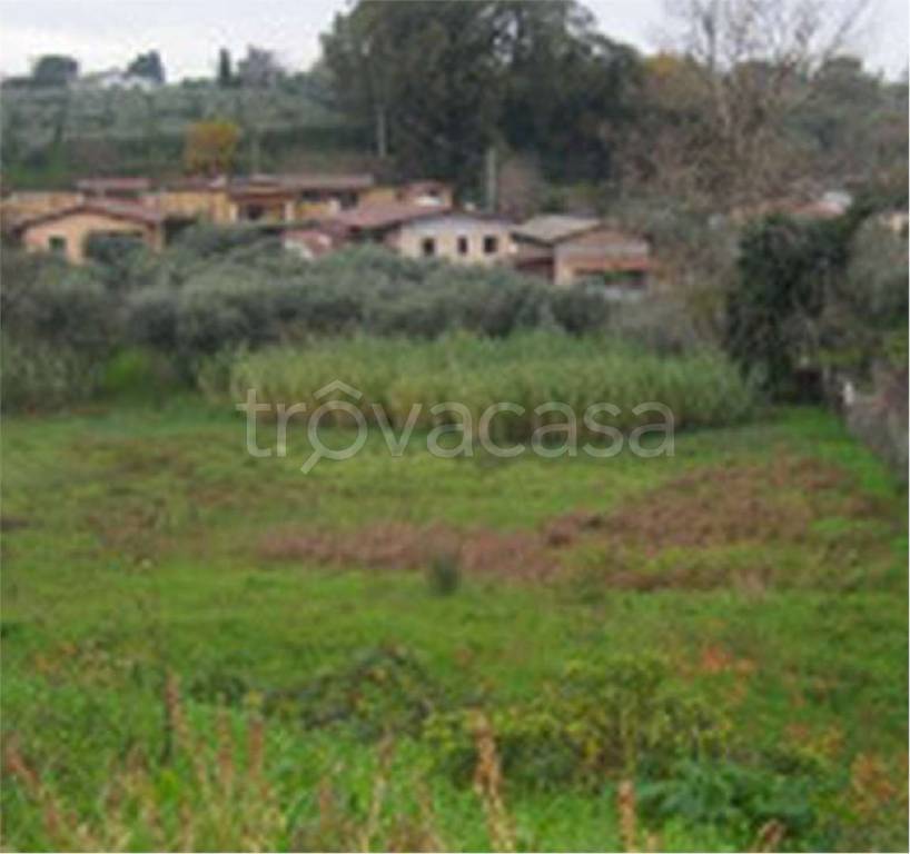 immagine annuncio 1 di 6