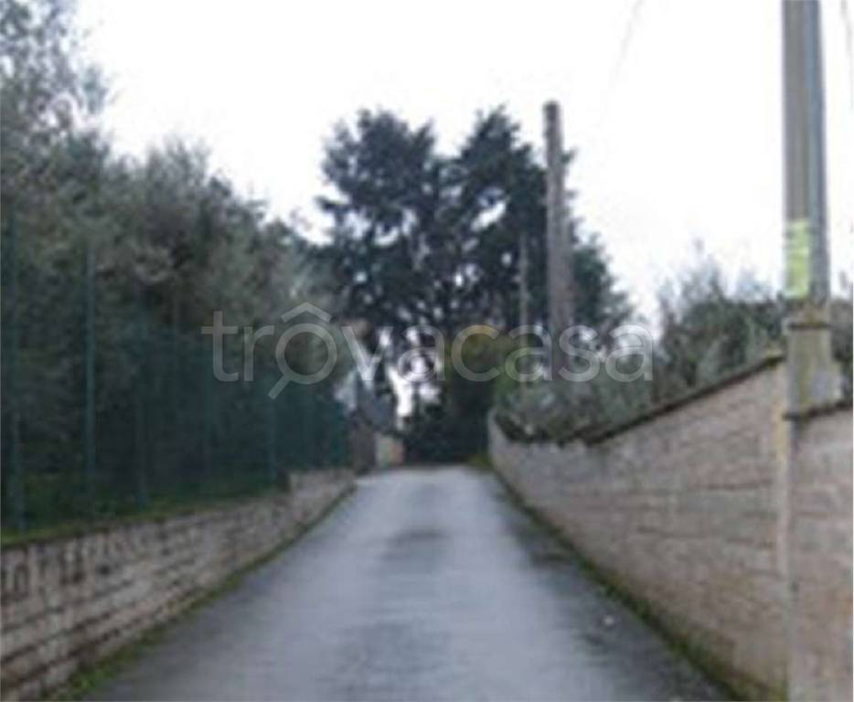 immagine annuncio 5 di 6