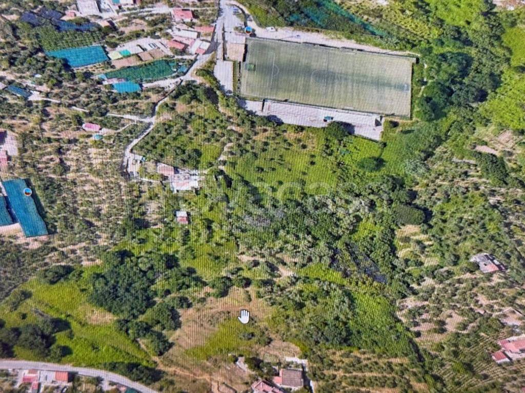 immagine annuncio 2 di 6