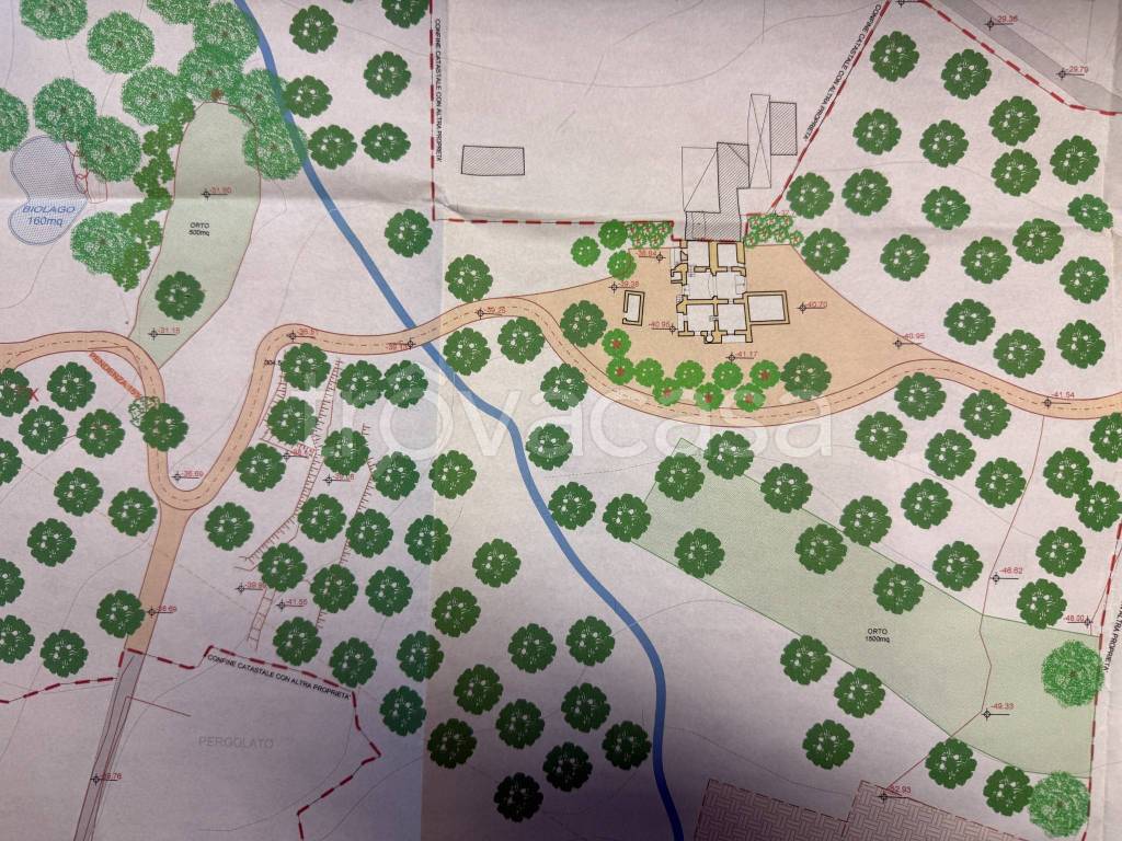 immagine annuncio 5 di 6