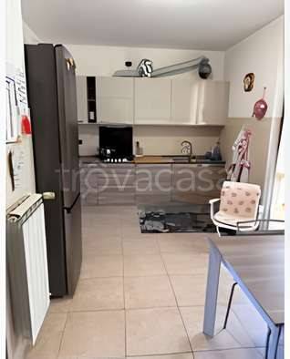 immagine annuncio 5 di 12