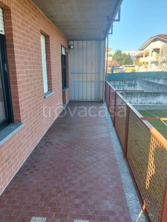 immagine annuncio 1 di 14