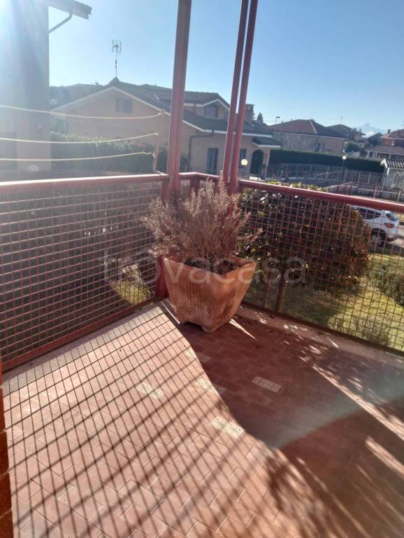 immagine annuncio 9 di 14