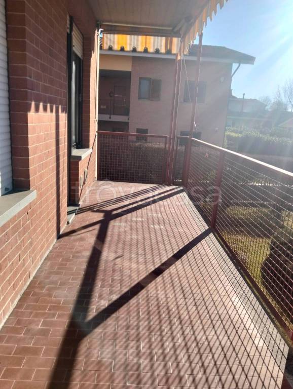 immagine annuncio 6 di 14