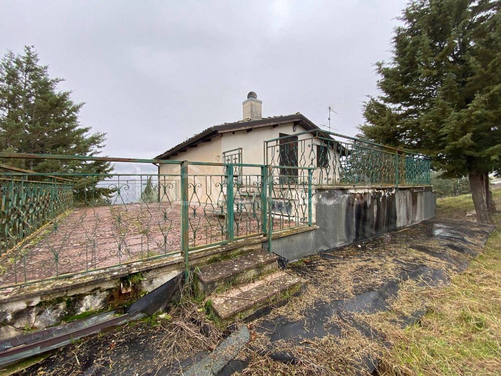 immagine annuncio 12 di 14