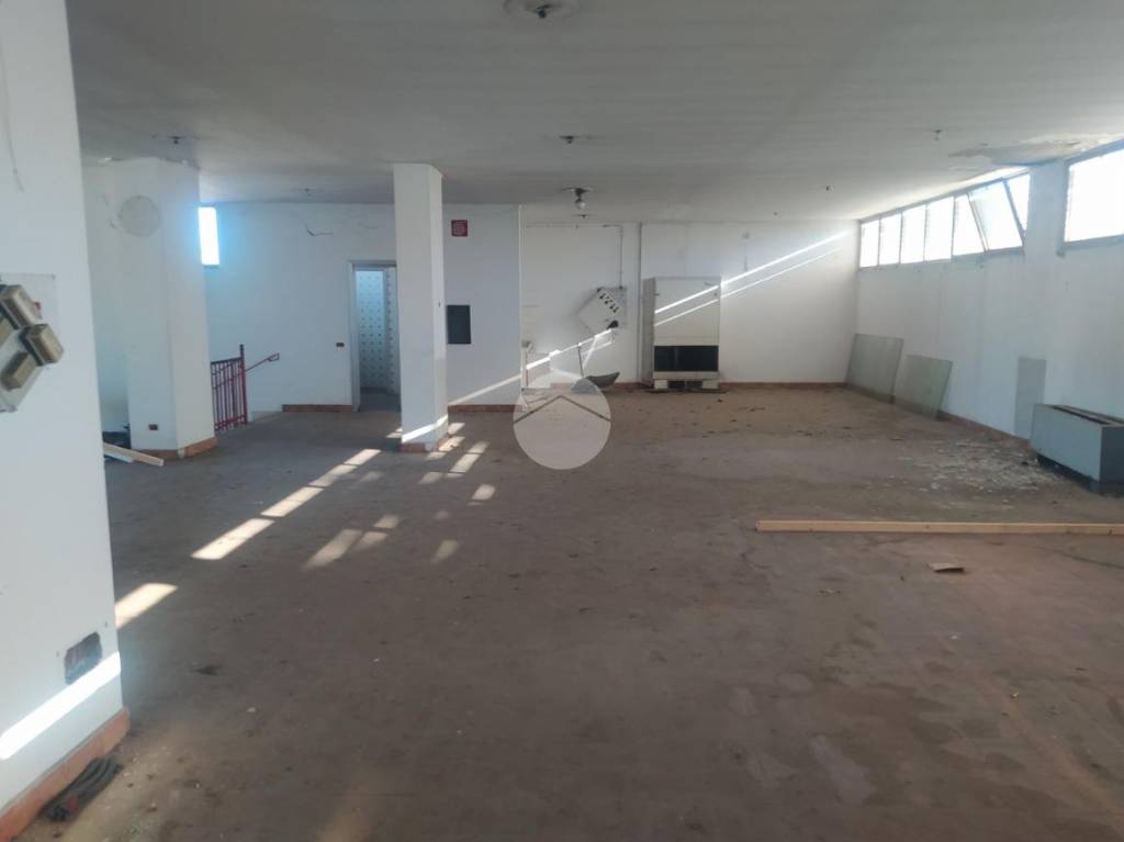 immagine annuncio 1 di 8