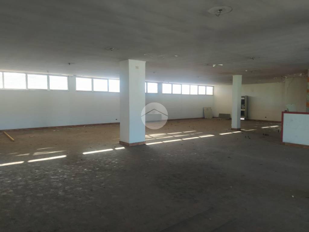 immagine annuncio 2 di 8