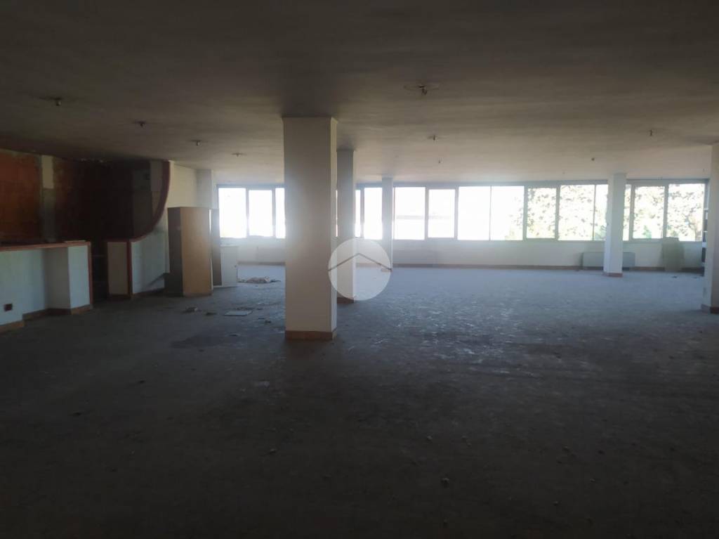 immagine annuncio 3 di 8