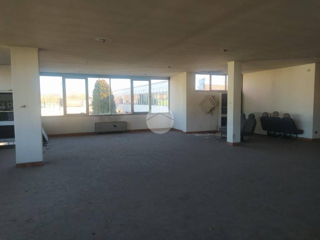 immagine annuncio 6 di 8