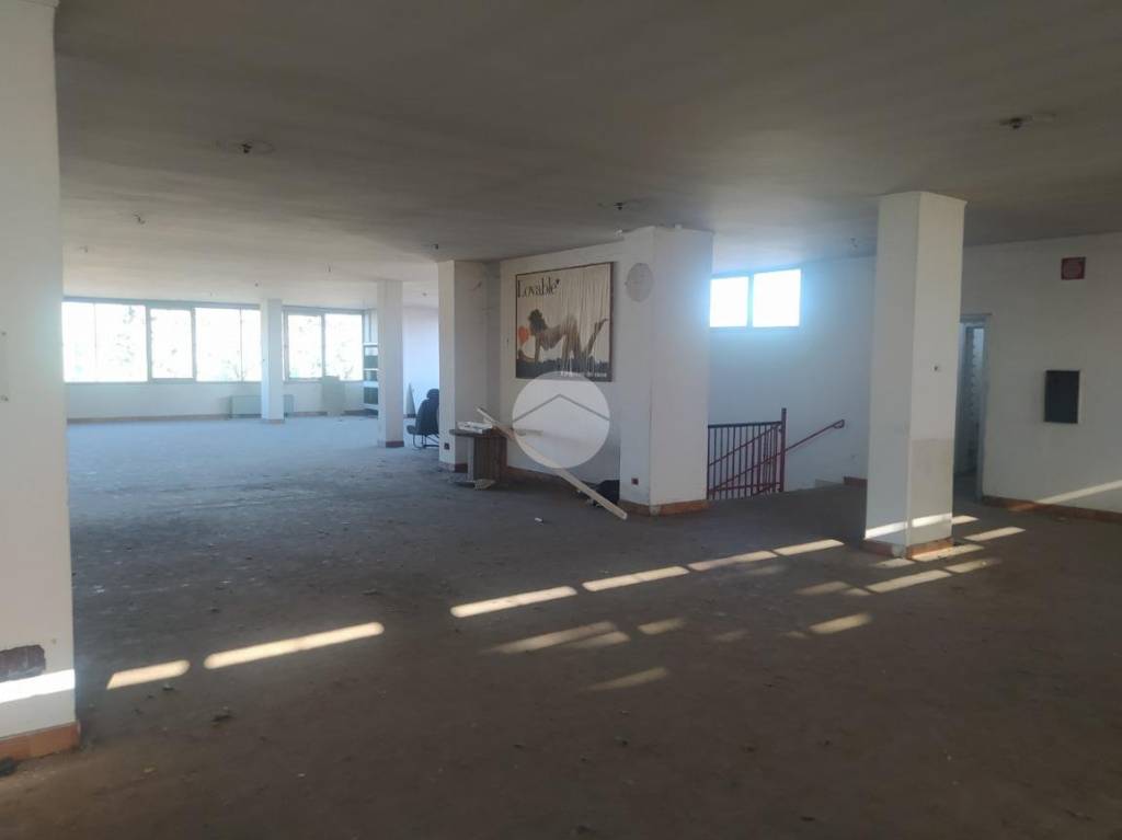 immagine annuncio 7 di 8